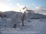 Sunrise in the Foothills - Taos, New Mexico